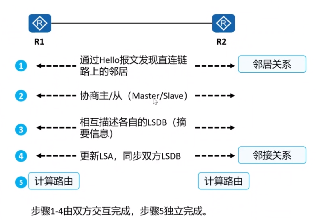 ospf-报文交互